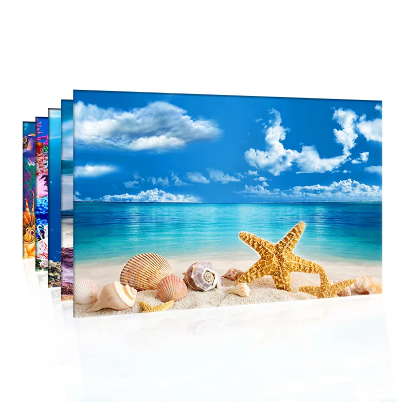 Planted Aquarium Wallpaper - Bể Cá Cảnh Nền Trang Trí
