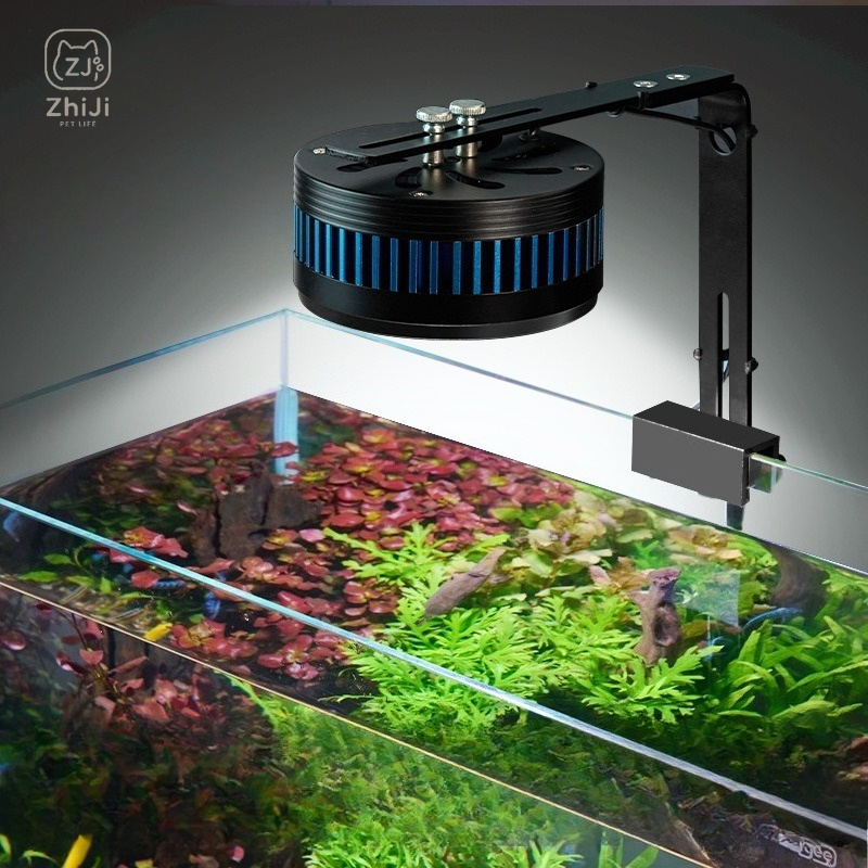 Aquarium Plant On Wood - Fish Tank Downlight Led Full Spectrum