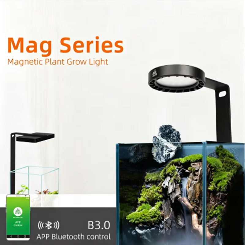 Planted Aquarium Equipment - Sunsun Hộp Thay Thế Lõi Lọc