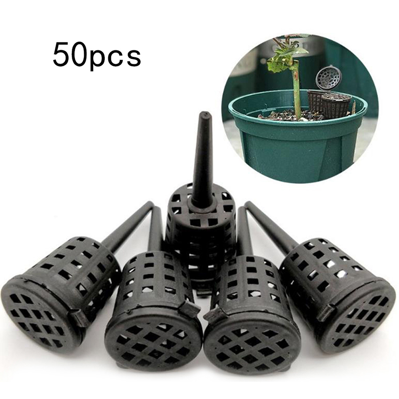 Aquarium Plant Root Fertilizer - 50 Con Vật Có Phân Bón
