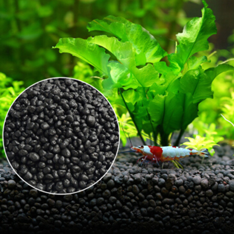 Planted Aquarium Equipment - Bể Cá Cảnh Vật Có Hạt