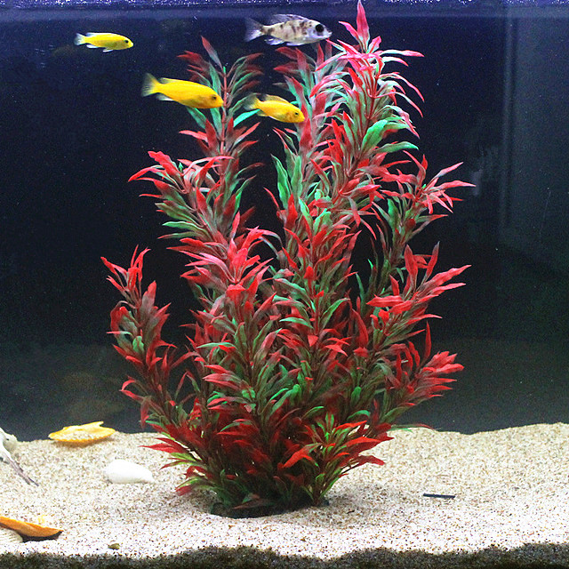 Planted Aquarium Equipment - 50CM Nhân Tạo Cá Thực Vật