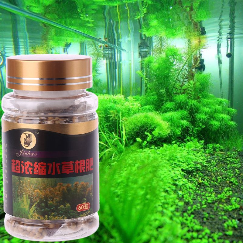 Aquarium Plant Root Fertilizer - 60 viên nang rễ cây thủy