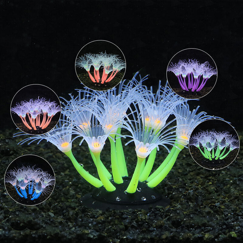50/75/100CM Linh Hoạt Hải Quỳ  - đánh giá và giá Aquarium Planted Substrate