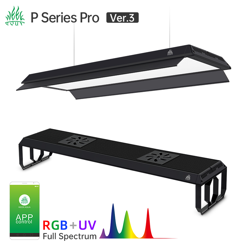 Tuần AQUA P Series Bể Cá Cảnh  - đánh giá và giá Aquarium Plant On Top