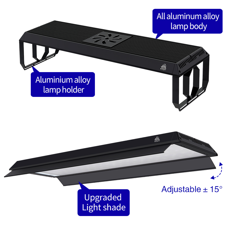 Tuần AQUA P Series Bể Cá Cảnh  - đánh giá và giá Aquarium Plant On Top