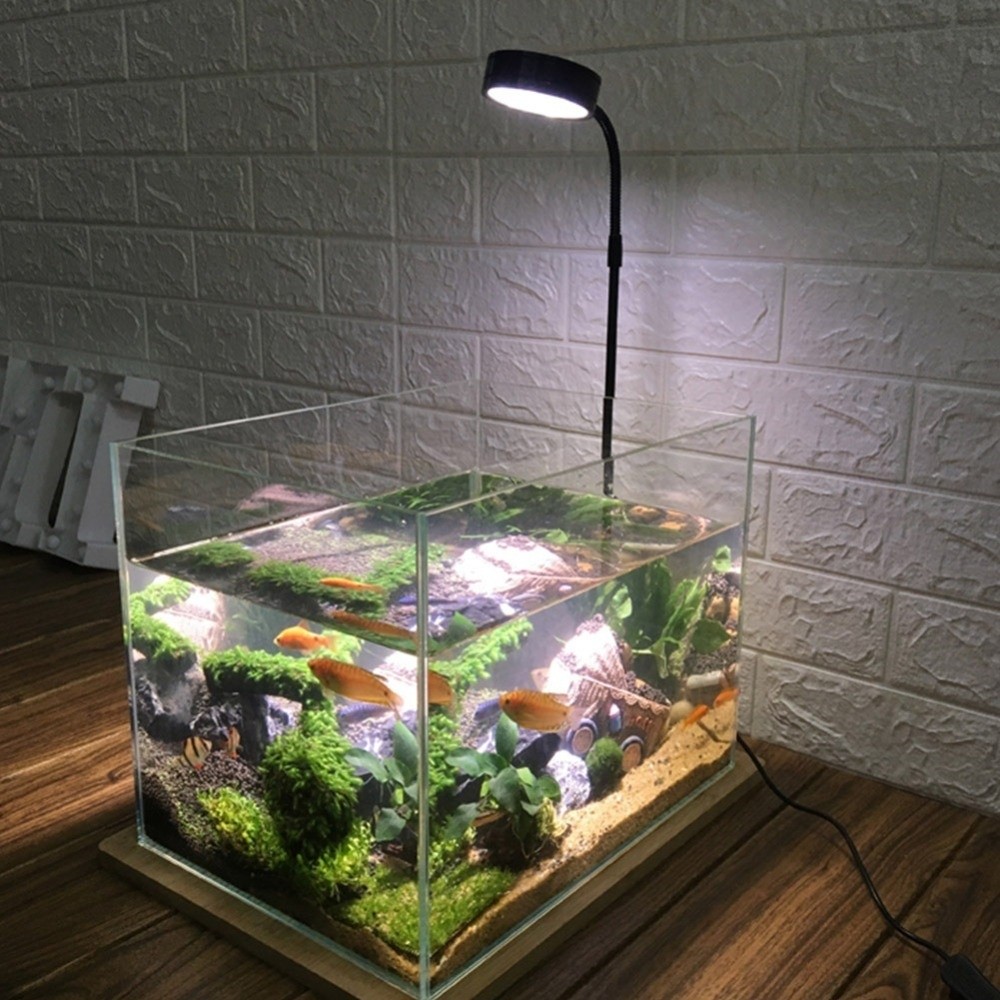 10W Fish Tank LED Lamp with Wo - đánh giá và giá Aquarium Plant On Wood