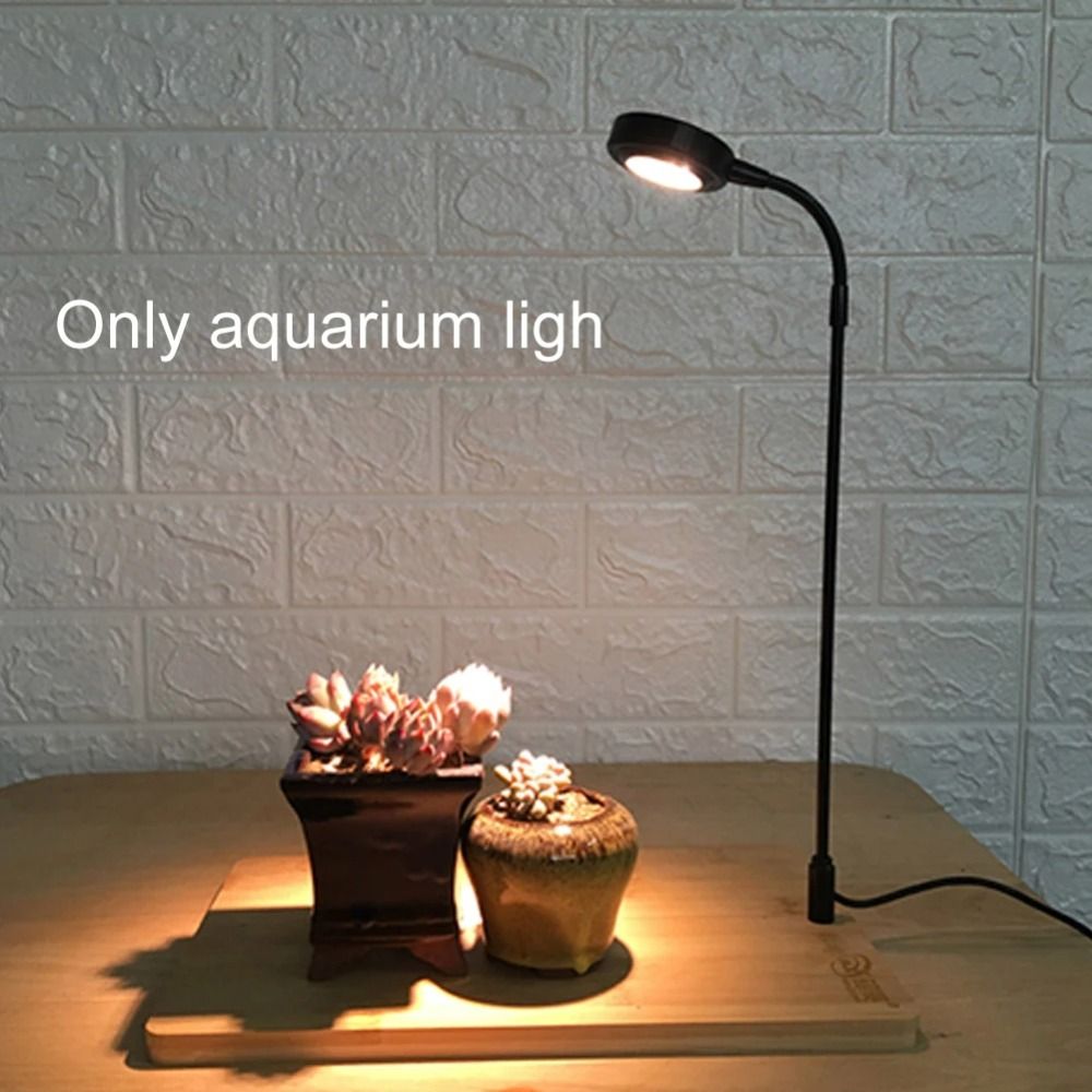 10W Aquarium Plant Fill Lamp w - đánh giá và giá Aquarium Plant On Wood
