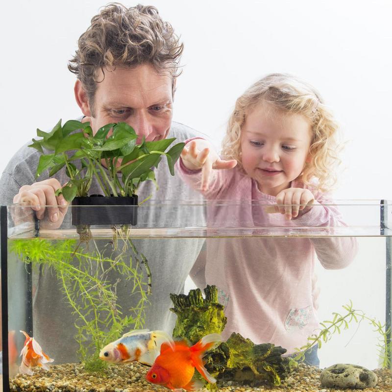 Hanging Aquarium Plant Holder  - đánh giá và giá Emersed Plants Aquarium