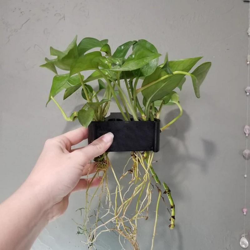Hanging Aquarium Plant Holder  - đánh giá và giá Emersed Plants Aquarium