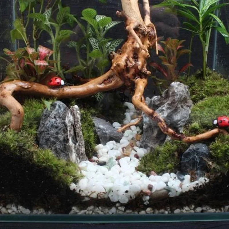 Natural Tree Trunk Driftwood A - đánh giá và giá Aquarium Planted Substrate