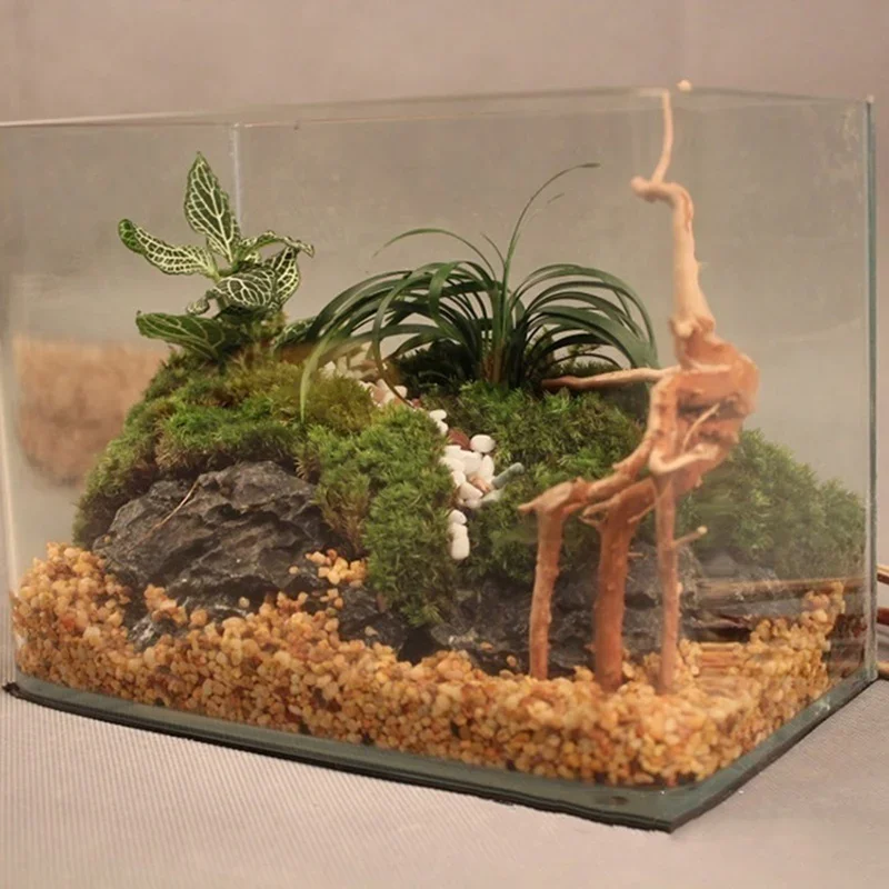 Natural Tree Trunk Driftwood A - đánh giá và giá Aquarium Planted Substrate