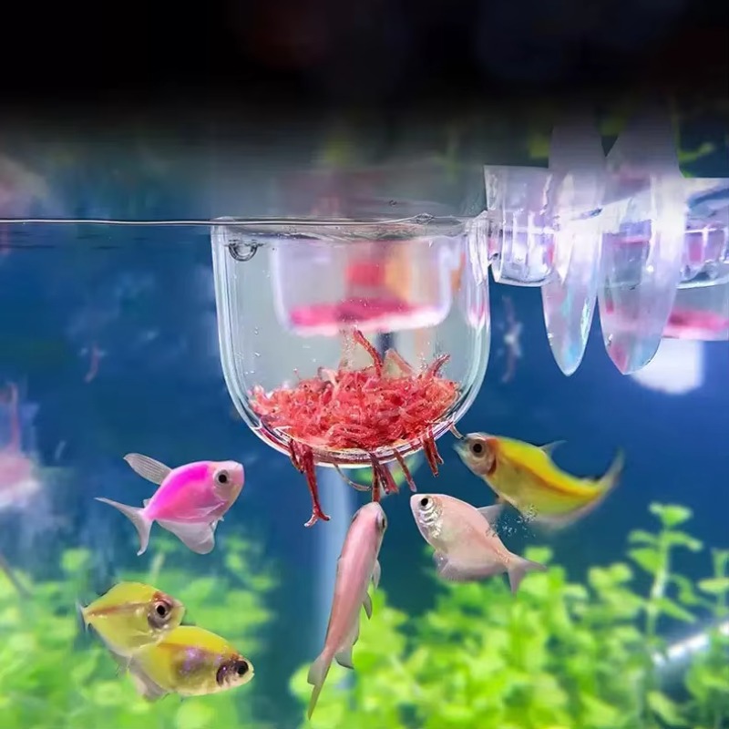 Factory Aquarium Decoration Ha - đánh giá và giá Aquarium Plant Factory