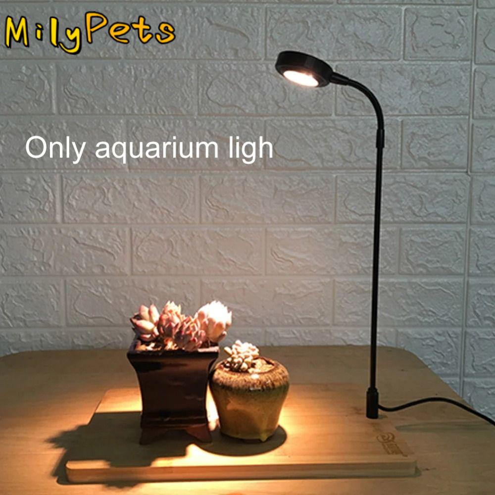10W Aquarium Plant Fill Lamp w - đánh giá và giá Aquarium Plant On Wood