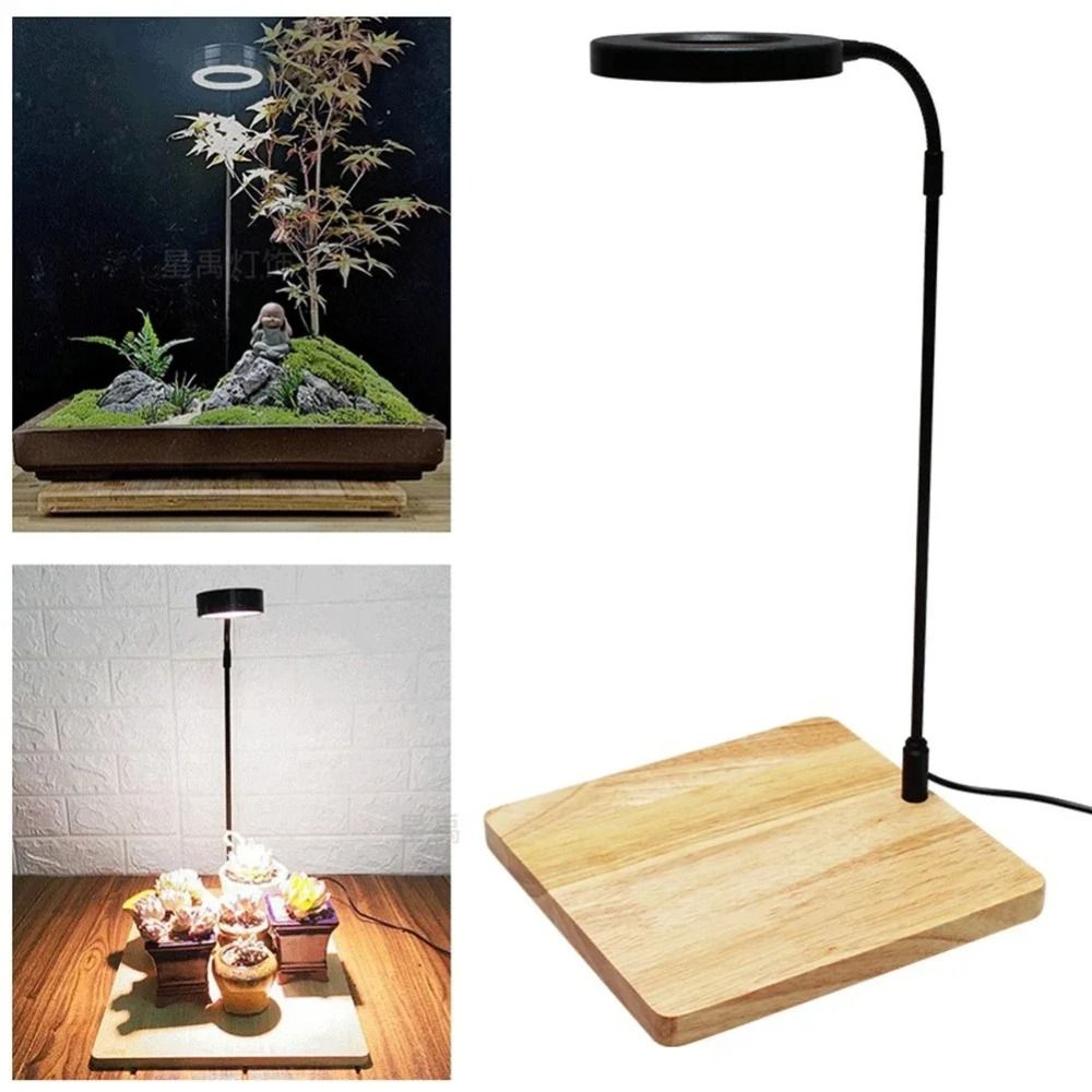10W Aquarium Plant Fill Lamp w - đánh giá và giá Aquarium Plant On Wood