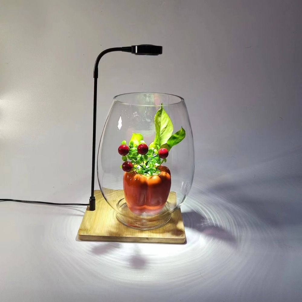 10W Aquarium Plant Fill Lamp w - đánh giá và giá Aquarium Plant On Wood