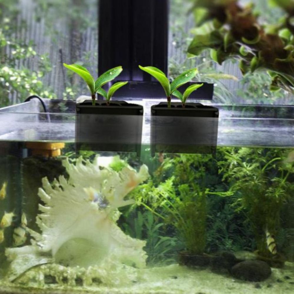 With Integrated Hook Aquarium  - đánh giá và giá Emersed Plants Aquarium