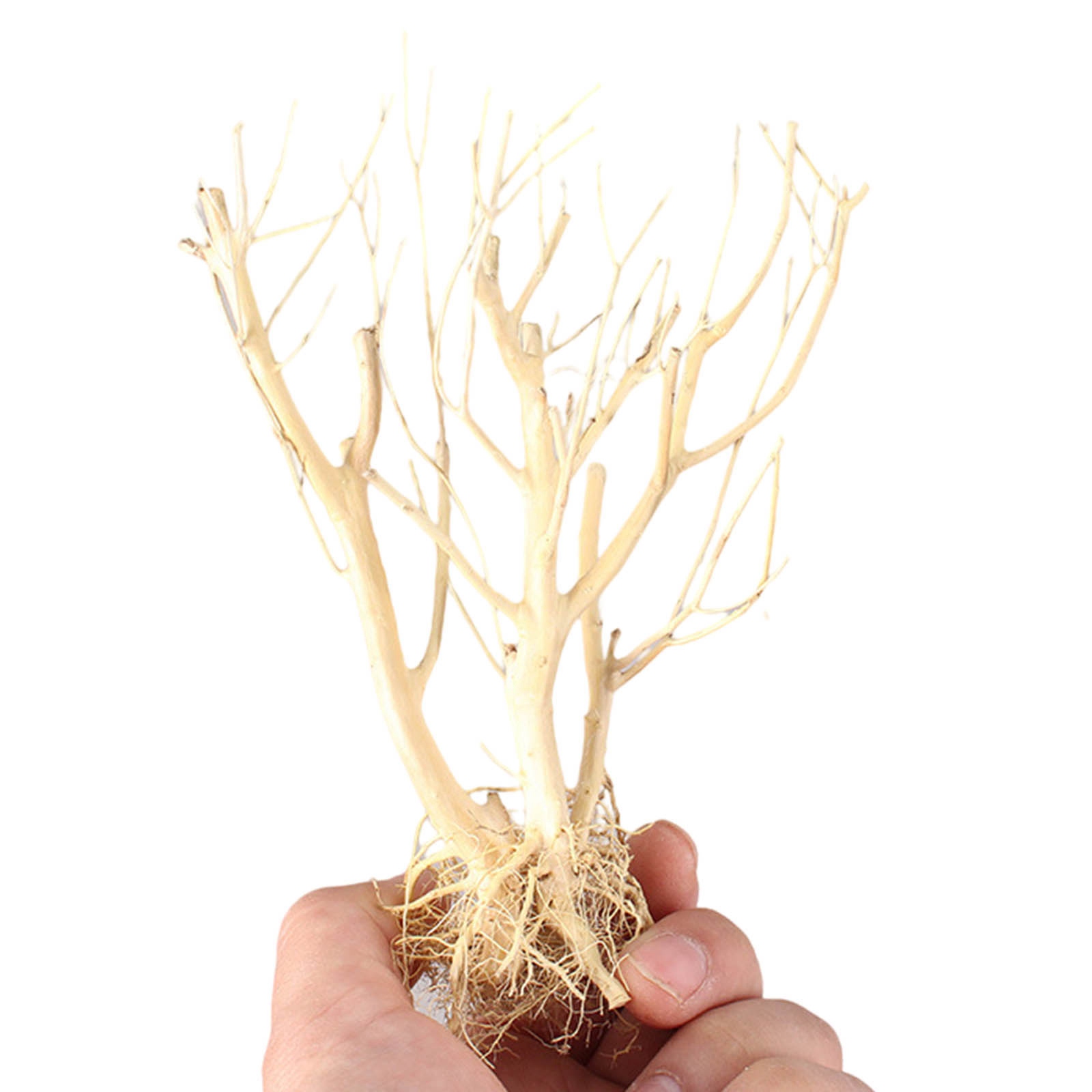 New DIY Driftwood Aquarium Mos - đánh giá và giá Aquarium Plant On Wood