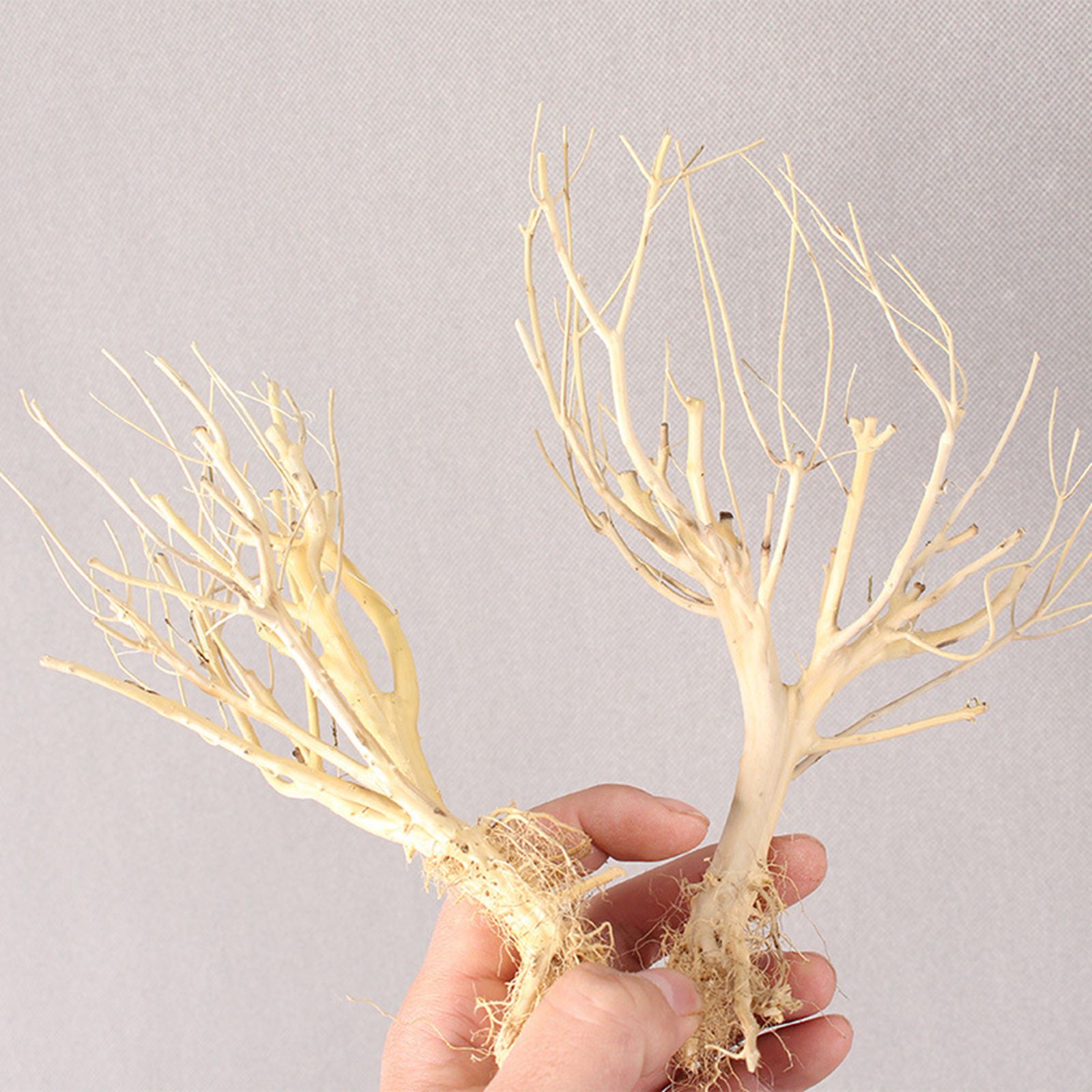 New DIY Driftwood Aquarium Mos - đánh giá và giá Aquarium Plant On Wood