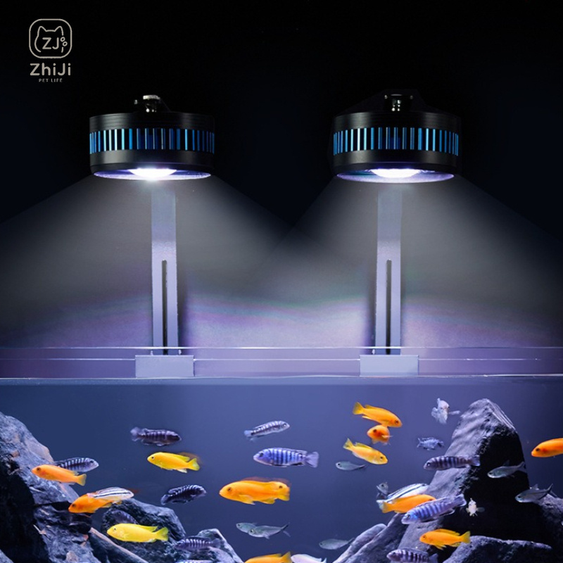 Fish Tank Downlight Led Full S - đánh giá và giá Aquarium Plant On Wood