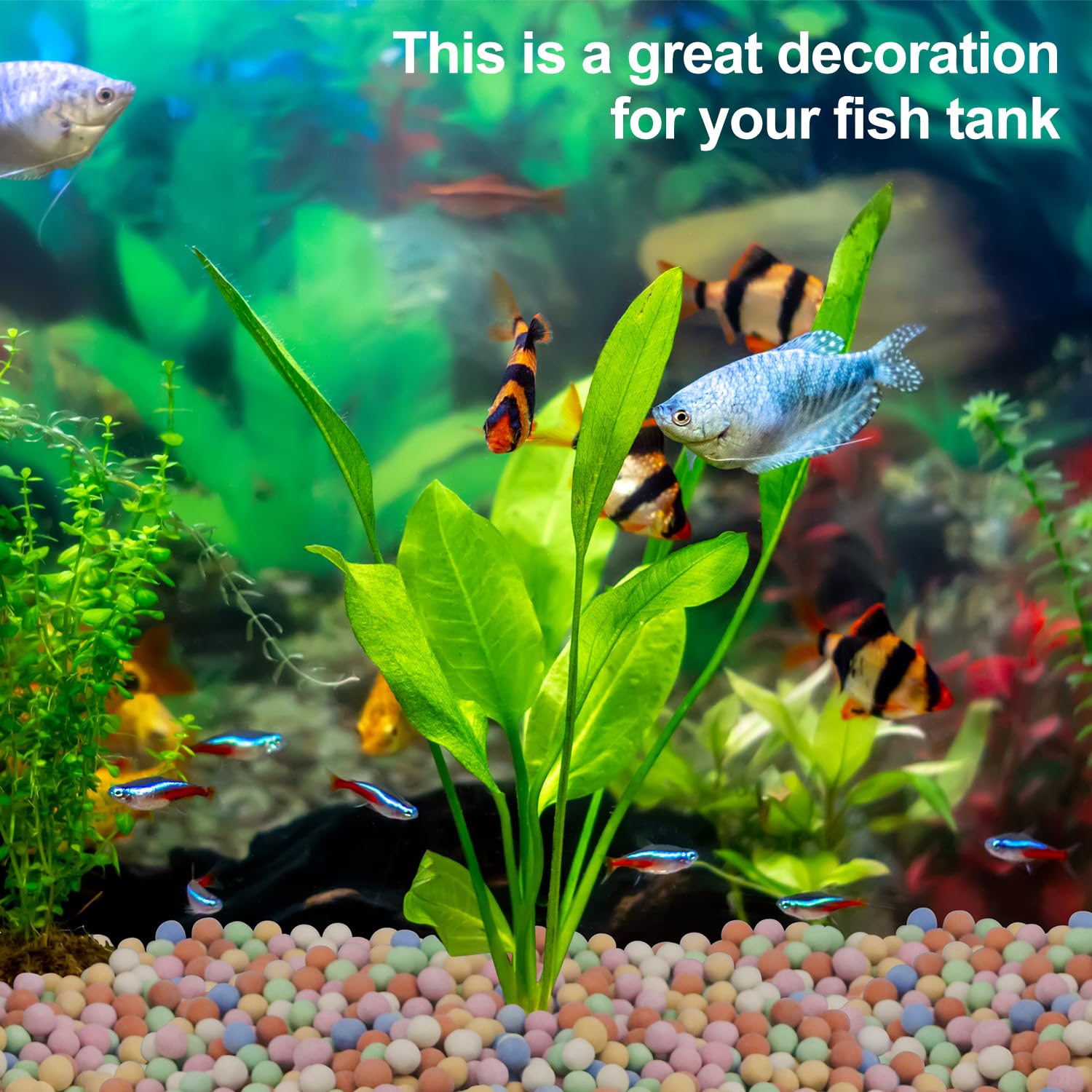 Hydroponic Plant Decorative Co - đánh giá và giá Aquarium Plant Vitamins