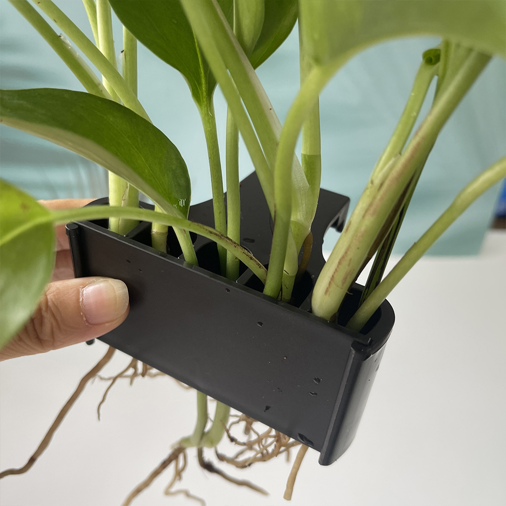 Hanging Aquarium Plant Holder  - đánh giá và giá Emersed Plants Aquarium