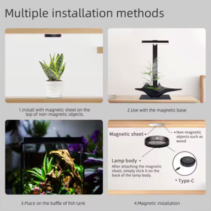 Sunsun Hộp Thay Thế Lõi Lọc Nư - đánh giá và giá Planted Aquarium Equipment