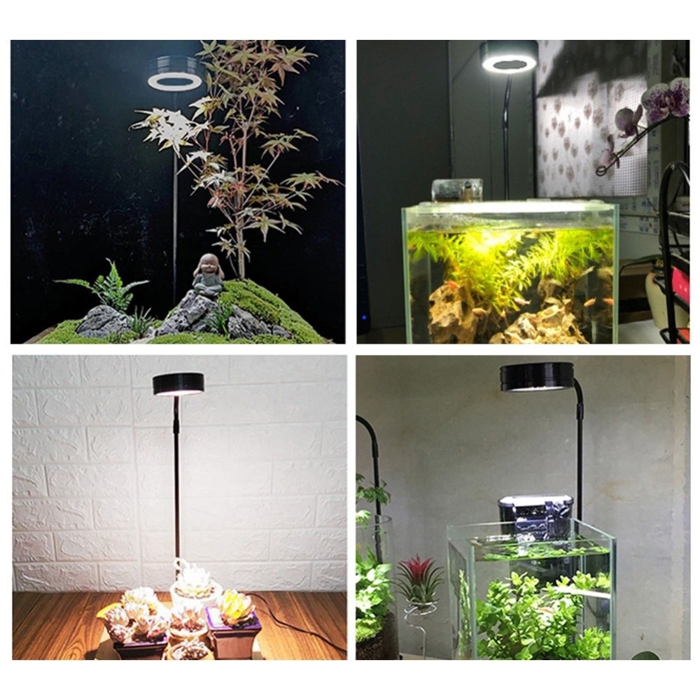 10W Fish Tank LED Lamp with Wo - đánh giá và giá Aquarium Plant On Wood