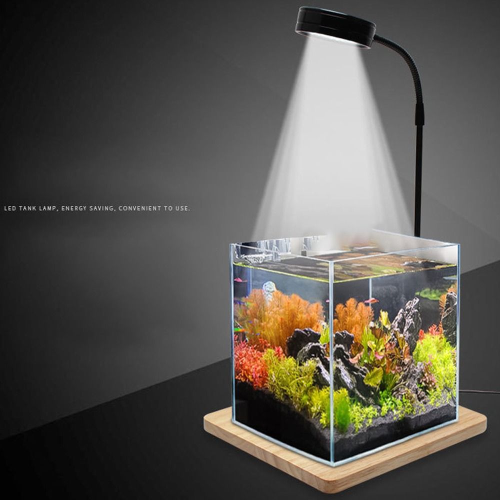 10W Fish Tank LED Lamp with Wo - đánh giá và giá Aquarium Plant On Wood