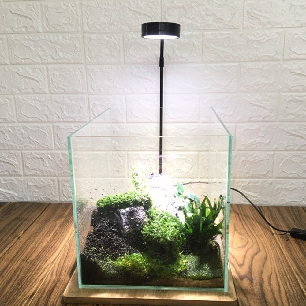 10W Fish Tank LED Lamp with Wo - đánh giá và giá Aquarium Plant On Wood