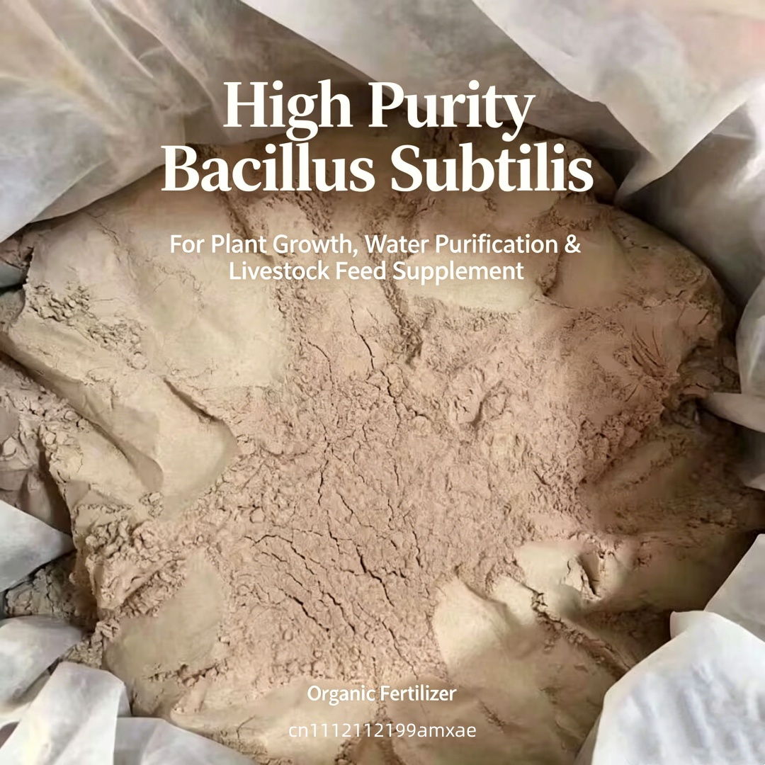 High Activity Bacillus Subtili - đánh giá và giá Aquarium Plant Root Fertilizer