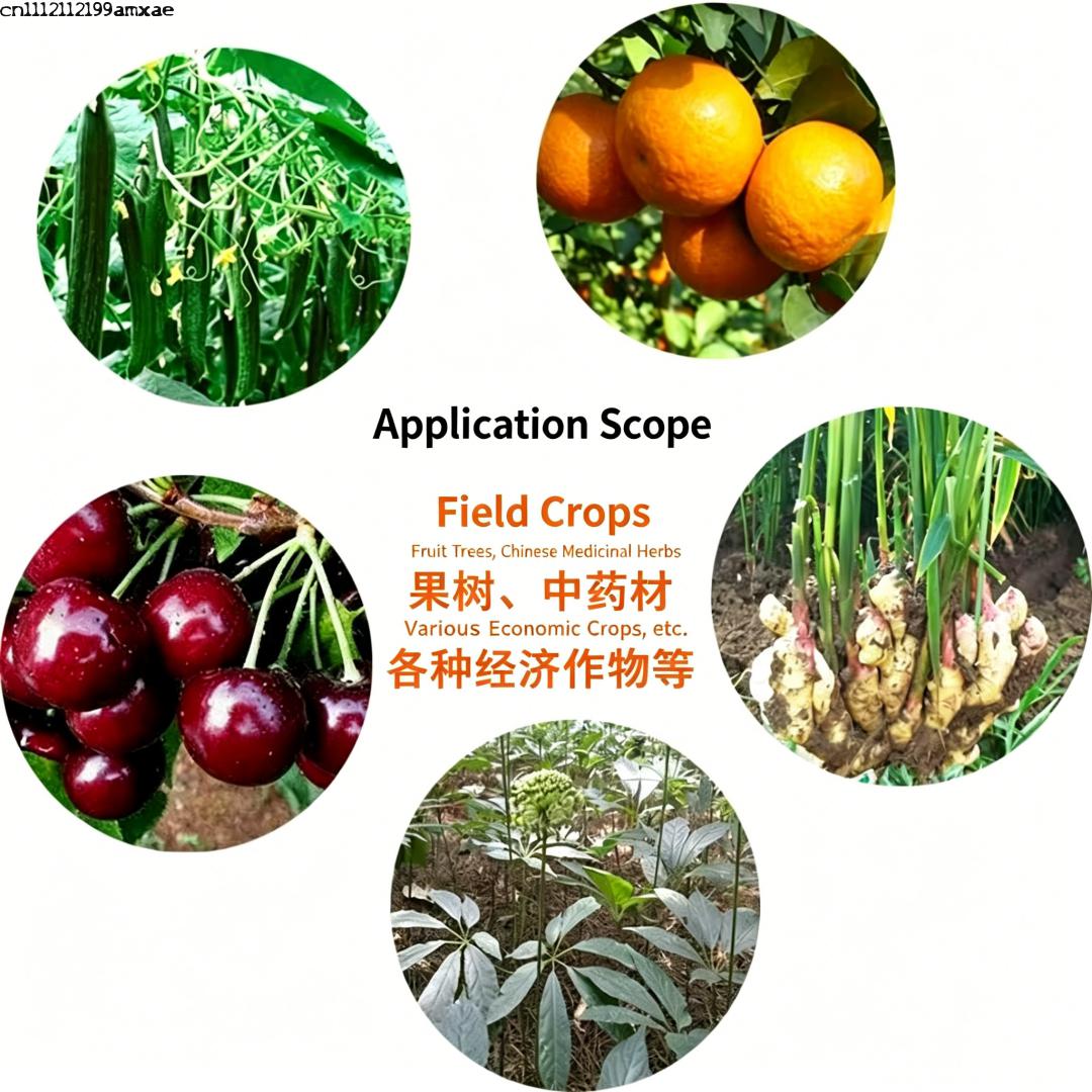 High Activity Bacillus Subtili - đánh giá và giá Aquarium Plant Root Fertilizer