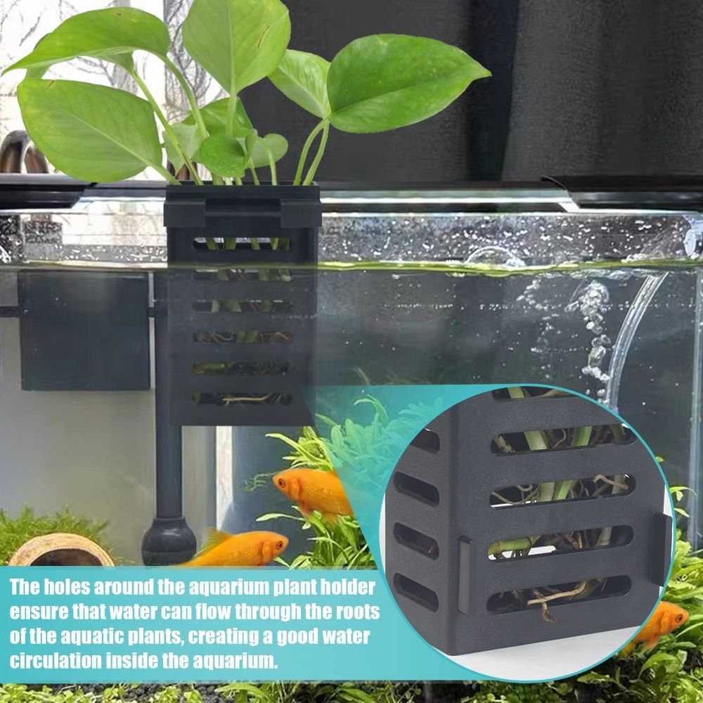 Hydroponic Aquarium Glass Plan - đánh giá và giá Emersed Plants Aquarium