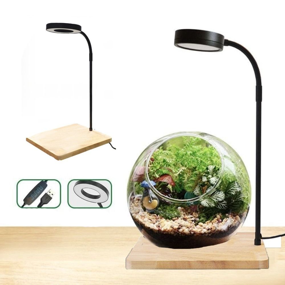 10W Fish Tank LED Lamp with Wo - đánh giá và giá Aquarium Plant On Wood