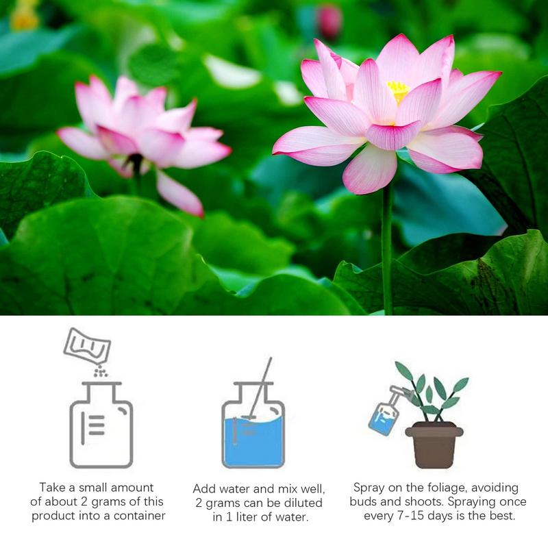 200g Natural Water Lily Flower - đánh giá và giá Aquarium Plant Vitamins