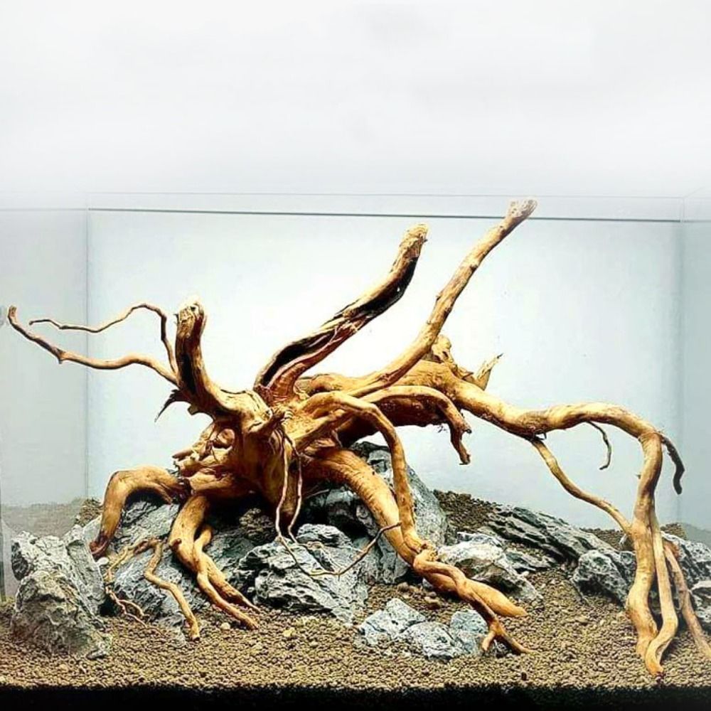 20-25CM Large Aquarium Driftwo - đánh giá và giá Aquarium Planted Substrate