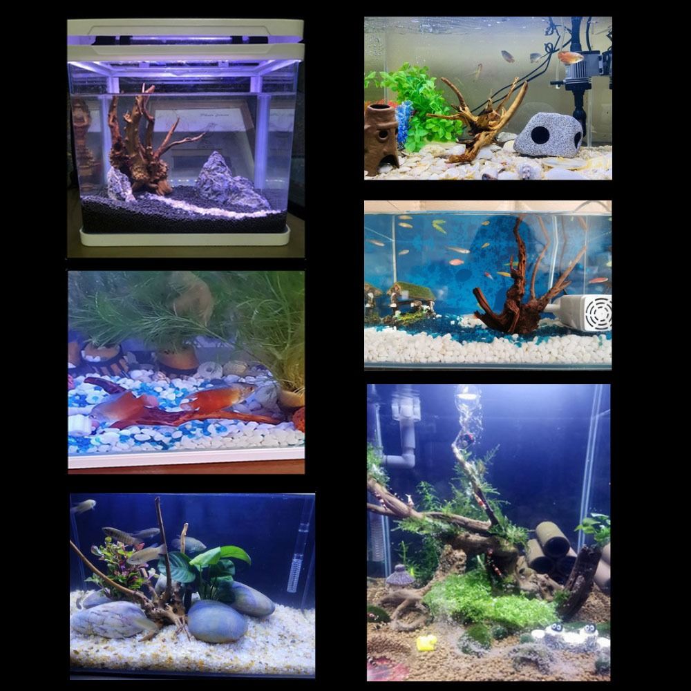 20-25CM Large Aquarium Driftwo - đánh giá và giá Aquarium Planted Substrate