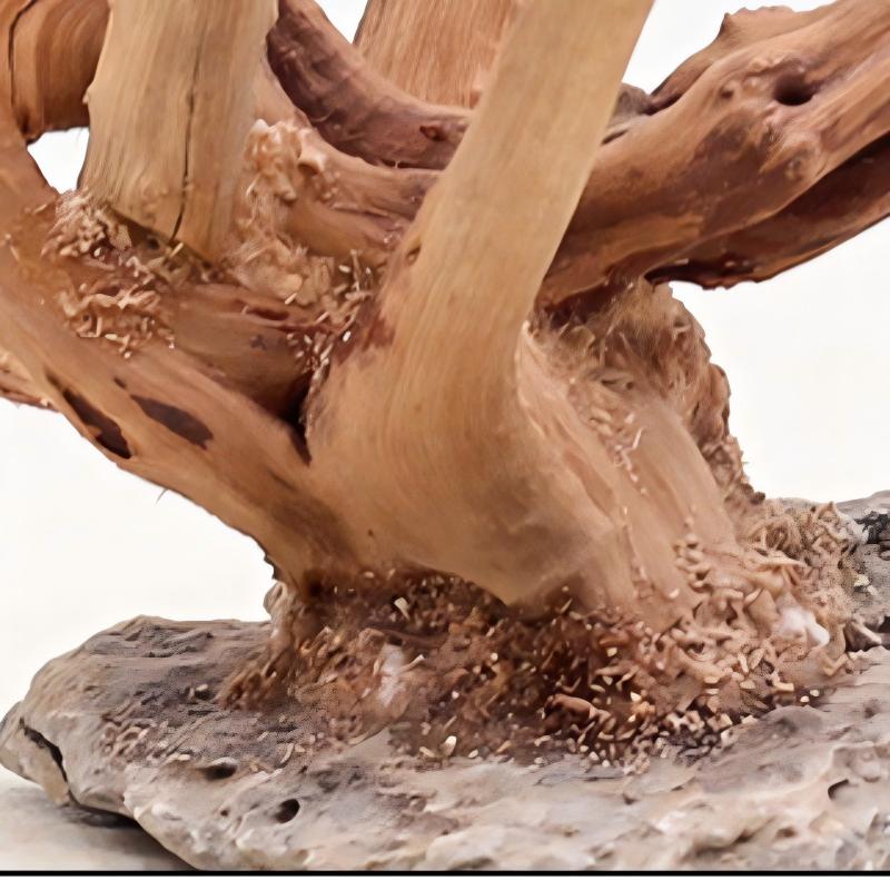 1 Bể Cá Cảnh Quan Gỗ Đồ Trang  - đánh giá và giá Aquarium Planted Substrate