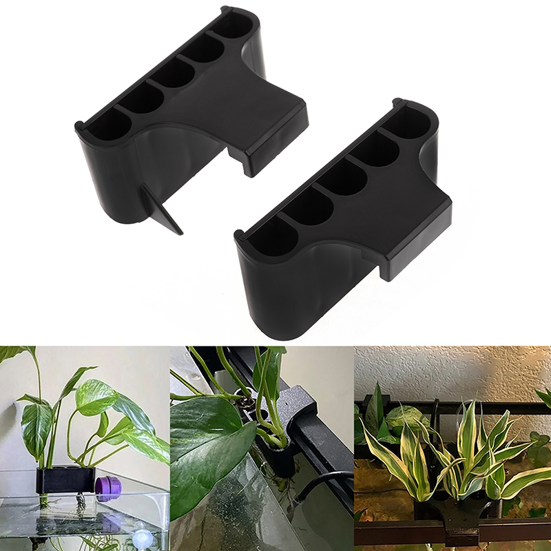 Hanging Aquarium Plant Holder  - đánh giá và giá Emersed Plants Aquarium