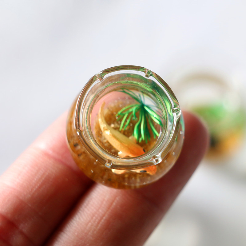 1Pc 1:12 Mini DollHouse Simula - đánh giá và giá Planted Aquarium Photos