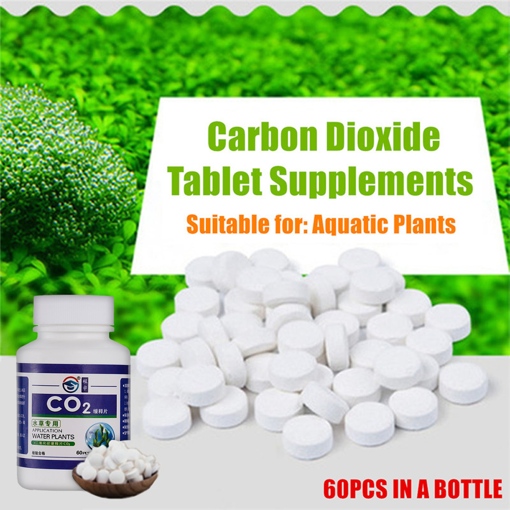CO2 Tablet Carbon Dioxide Diff - đánh giá và giá Aquarium Plant Vitamins