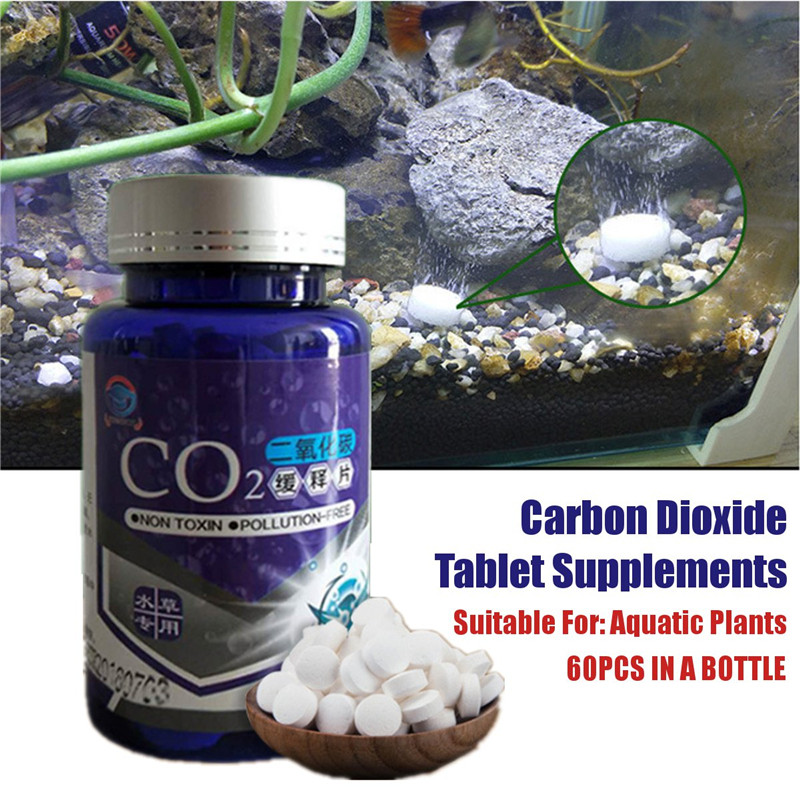 CO2 Tablet Carbon Dioxide Diff - đánh giá và giá Aquarium Plant Vitamins