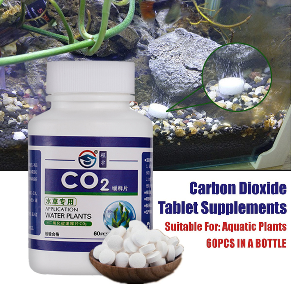 CO2 Tablet Carbon Dioxide Diff - đánh giá và giá Aquarium Plant Vitamins