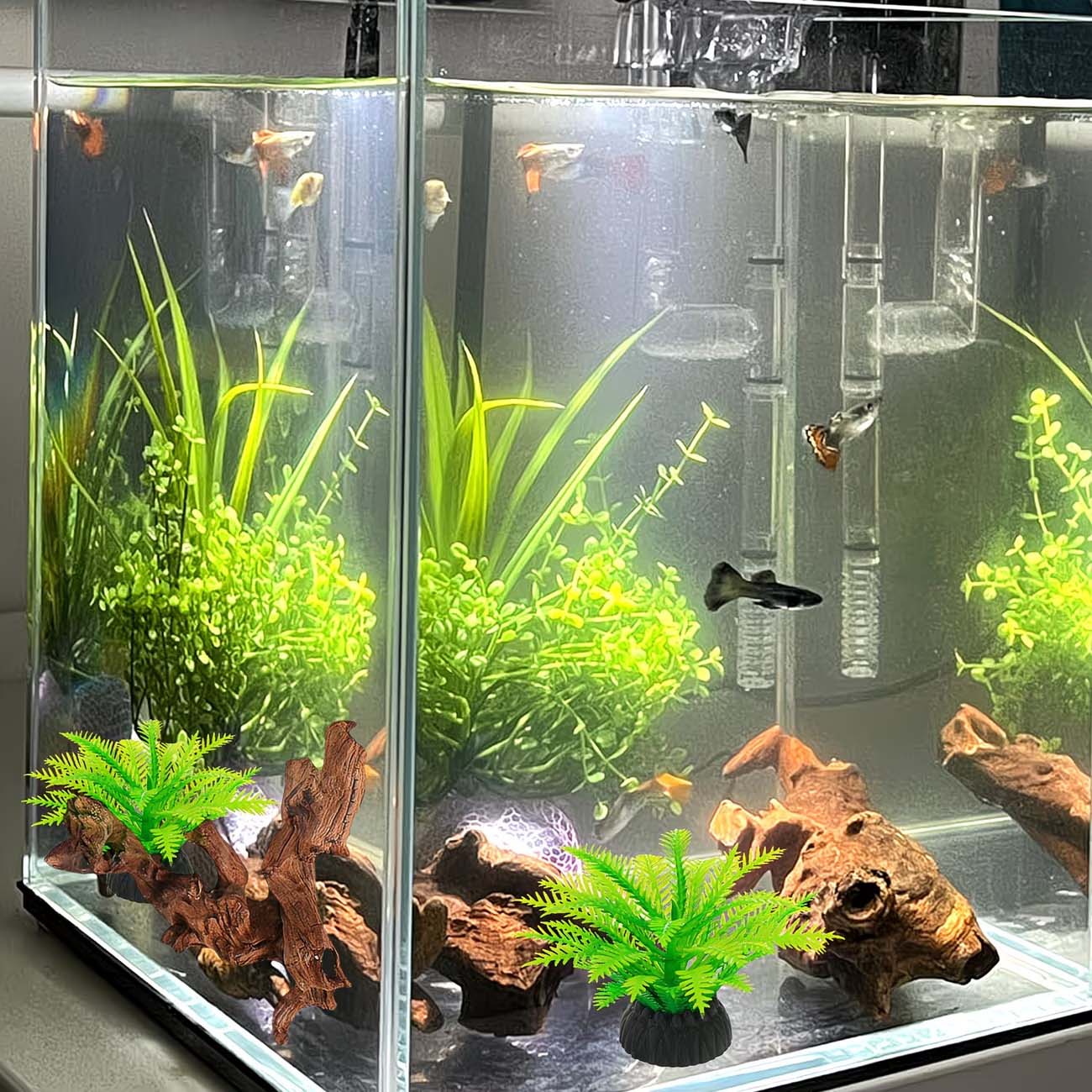 5-10CM Natural Sinkable Driftw - đánh giá và giá Aquarium Planted Substrate
