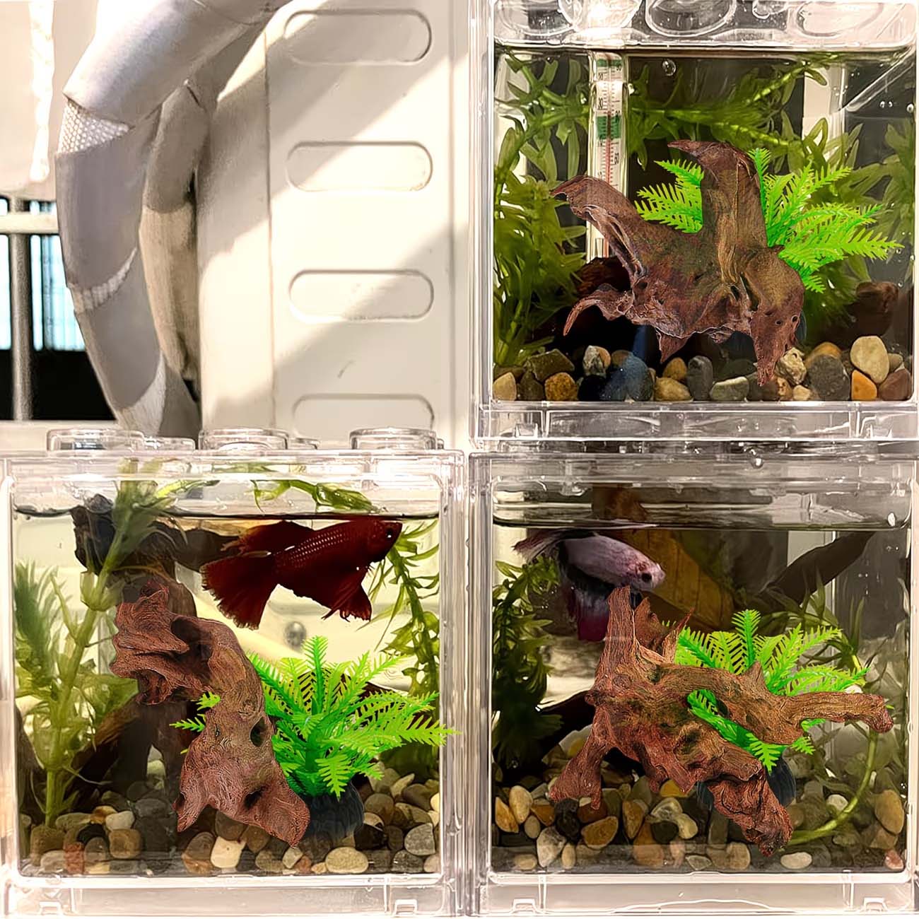 5-10CM Natural Sinkable Driftw - đánh giá và giá Aquarium Planted Substrate