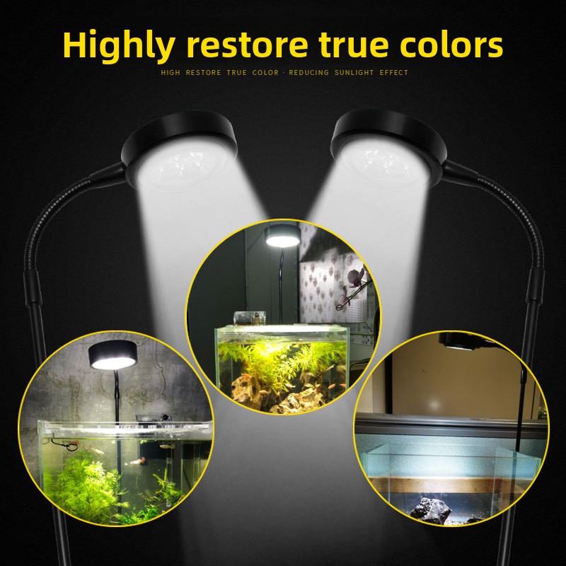 USB Timed Dimming Ultra-White  - đánh giá và giá Aquarium Plant On Wood