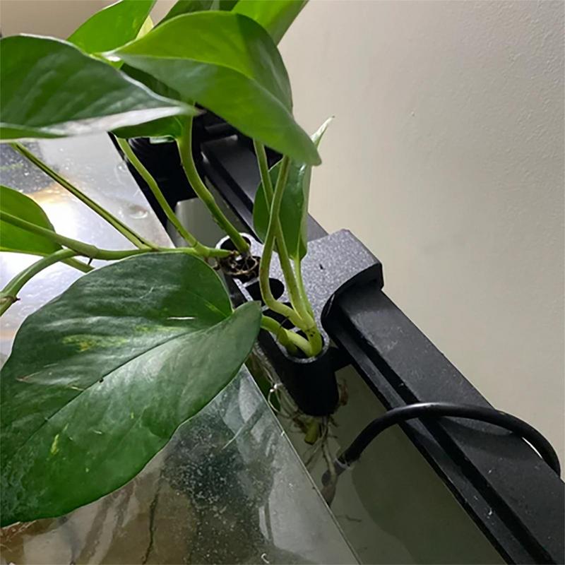 Hanging Aquarium Plant Holder  - đánh giá và giá Emersed Plants Aquarium
