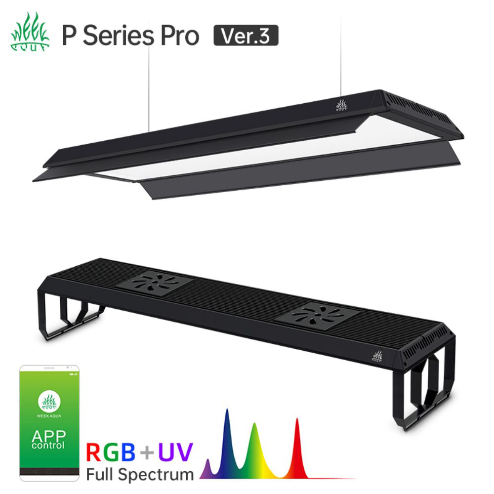 P 900 PRO And Shade Series Pro - đánh giá và giá Aquarium Plant On Top