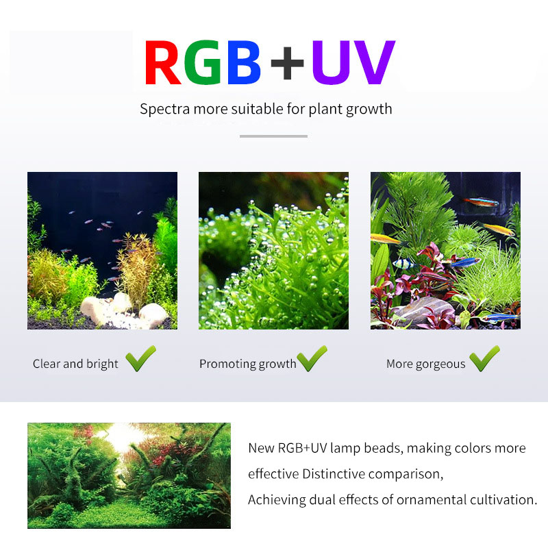 WEEK AQUA P Series Aquarium Fu - đánh giá và giá Aquarium Plant On Top