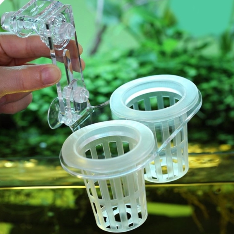 Aquariums Plant Stand Plant Cu - đánh giá và giá Emersed Plants Aquarium